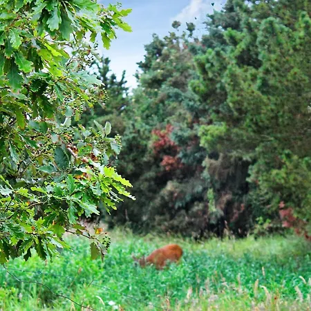 Luxury Retreat With Pool - By Traum Hébergement de vacances *